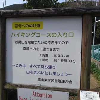 登山口に向います