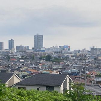 所沢駅・所沢の新しい商業施設「エミテラス」方面。

一番高いのが、「シティータワー所沢クラッシー」、
手前の立体駐車場がエミテラスの一部、駐車場が終わる左側がテラスのよう。左奥も駐車場。
駐車場の右のブルーの看板が駅前の西武所沢「ワルツ」。

「エミテラス」の大きなテラスから、八国山緑地全体が良く見えます。
