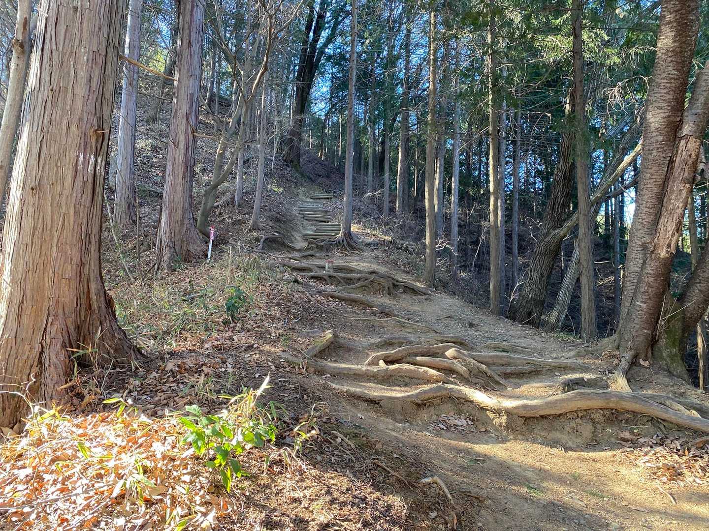 心地よいコース