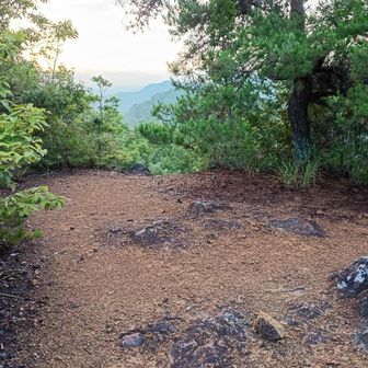 藤ノ木山から下界を目指します