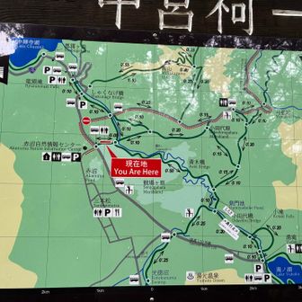 We are here