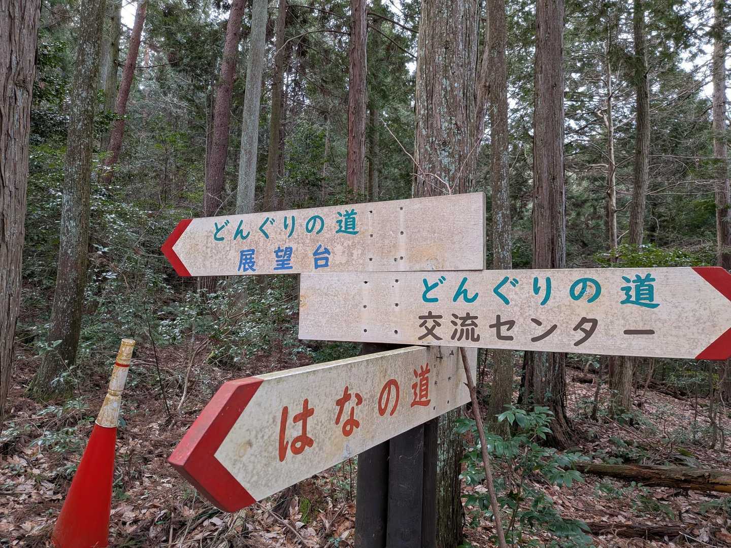 分岐の道しるべも至る所にあり迷いません😊