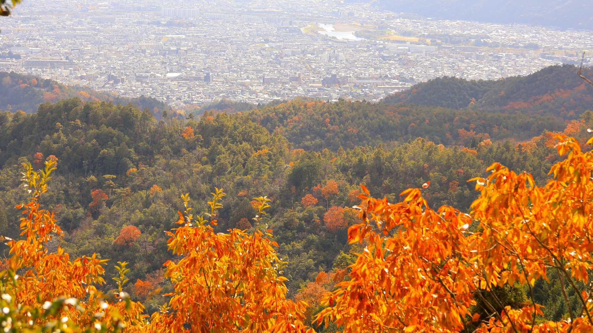 京都一周トレイル 北山西部コースの写真