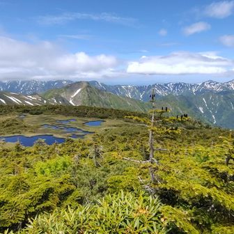 たまご石はともかく、湿原越しのこの風景。左端の巻機山には雲がかかり始めた。