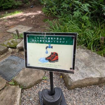 頂の森にあった装備品洗い場