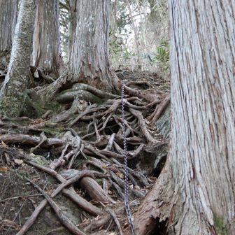 これを面白いと思うか、怖いと思うか。