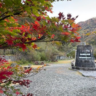 そろそろ別当にも紅葉が降りてくる