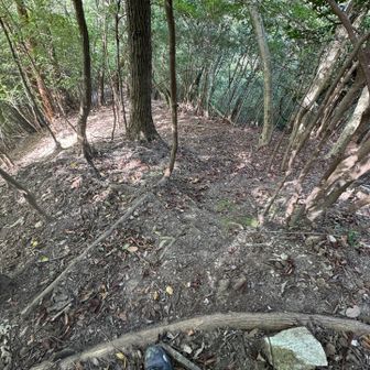 この辺りは普通に降りていくんだけど、このあと崖みたいになり少し後悔するが、、、