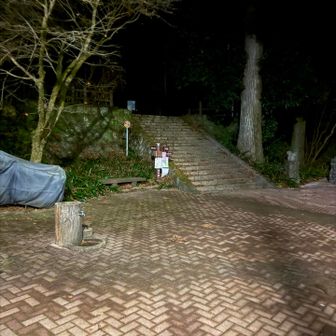 この階段からスタートします