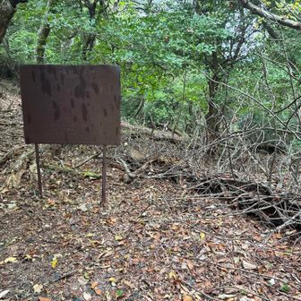 尾根に出た　東から➡️