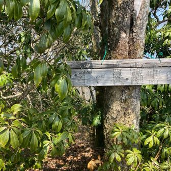 第一真富士山山頂