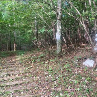 駐車場の目の前の登山口からスタート🚶