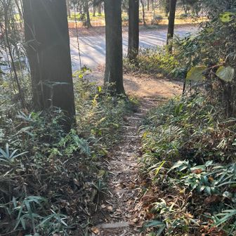 さあもう駐車場が見えてきた！