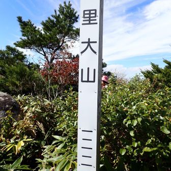 山頂は狭く、蜂が次々と飛んできたので即下山💦苦労して着いたのに写真もそこそこにお茶も飲めずいっきに下山