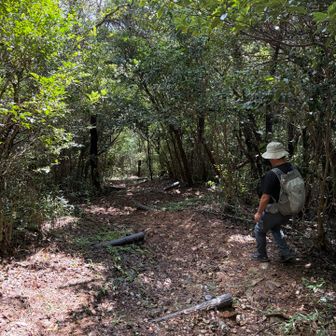 激下り