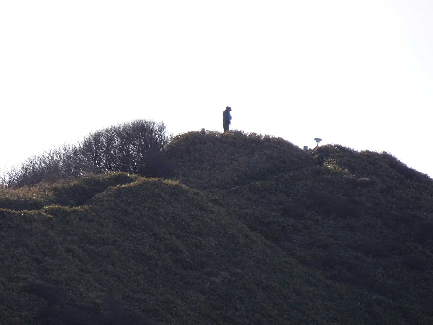 山頂に先行者発見👀