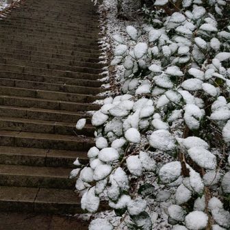 階段もしっかり見えてる