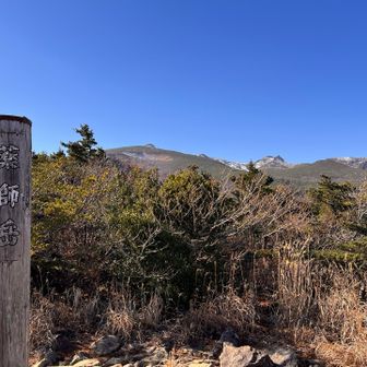 この辺りから木道に。しかしホンマにええ天気