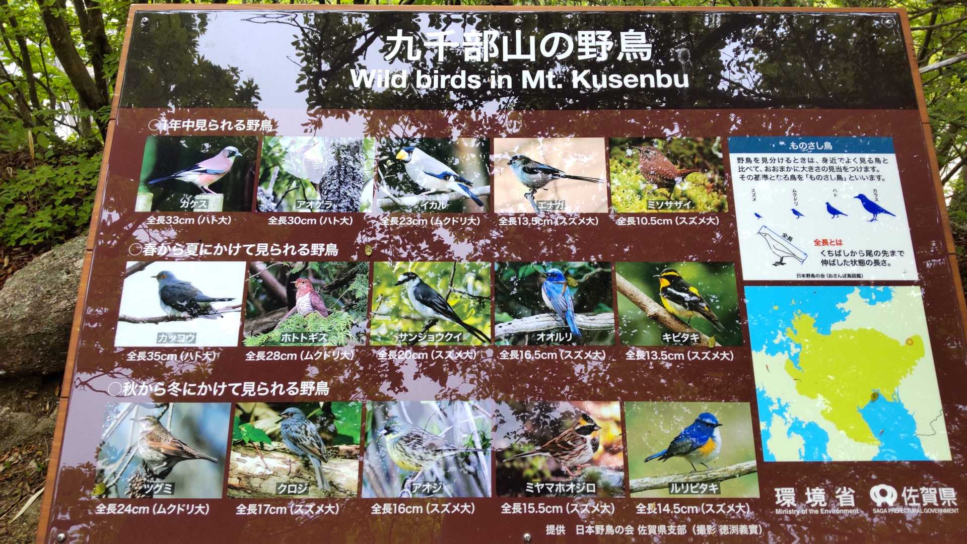 途中、道迷いしやすいとあったフィールドメモも気をつけてたけどやっぱり道からそれて戻ったりしたら、こんな所に出てきた。