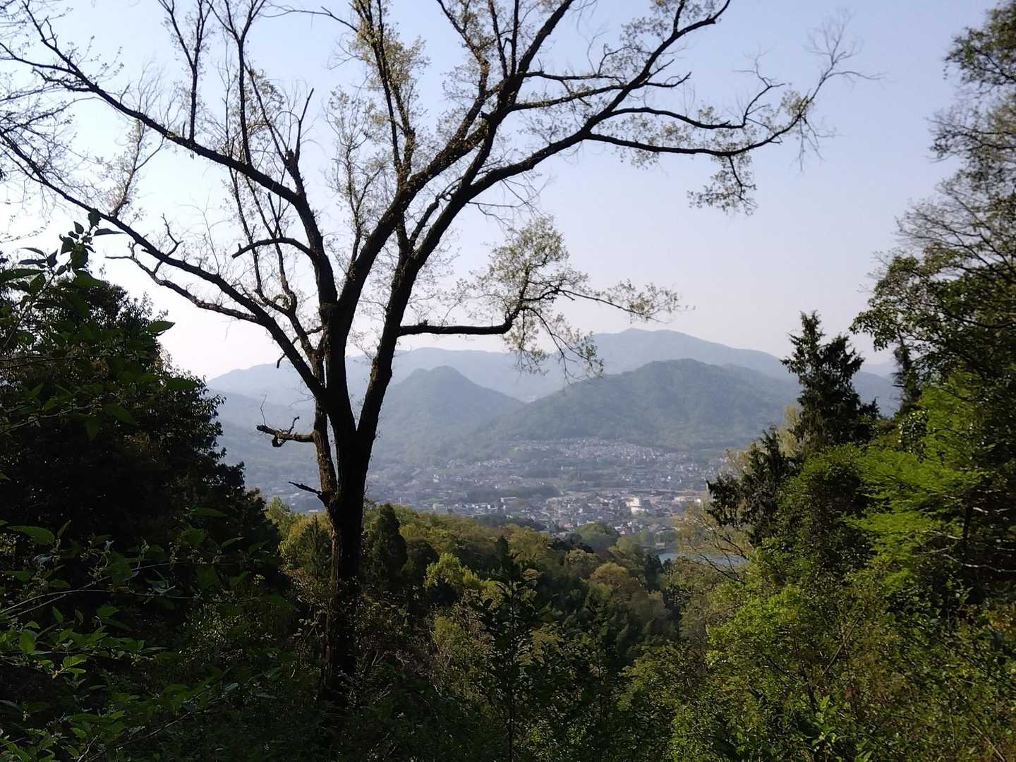 ゆるぎ観音-赤穂峠-城山-金ヶ燈篭山 周回コースの写真
