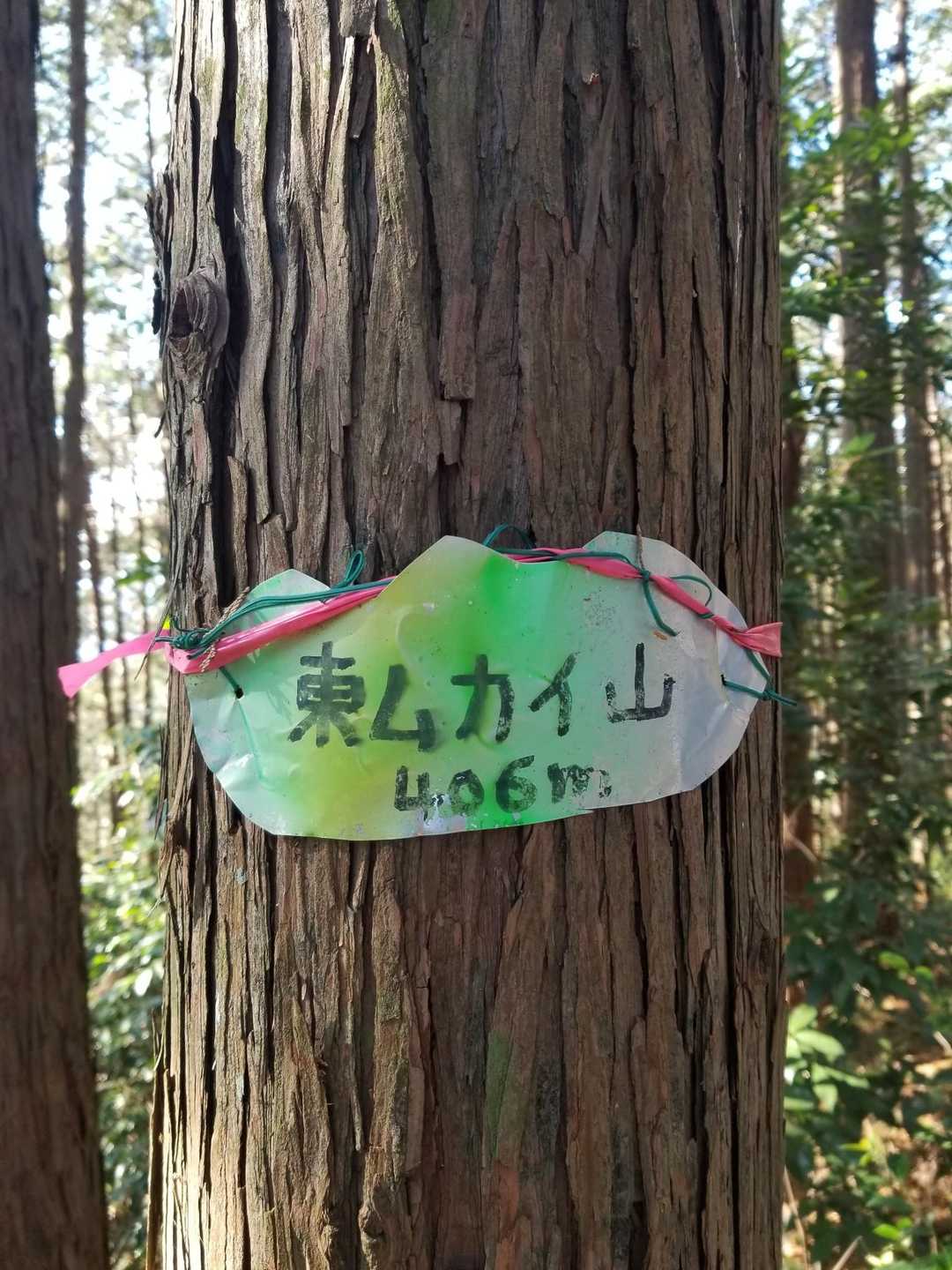 小瀬名富士-小瀬名富士登山口 往復コースの写真