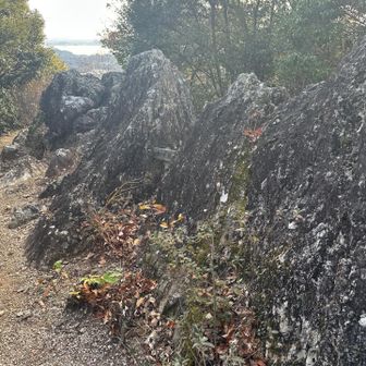 ラクダ🐪岩。どの角度から撮ろうか悩みましたが、後ろから撮るのがいいですね。