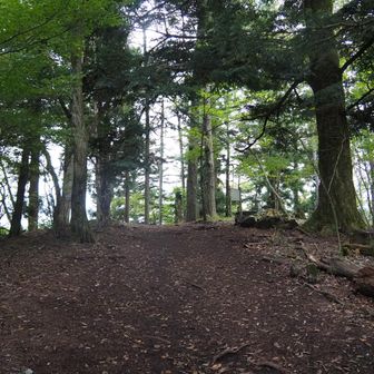 天上山山頂。