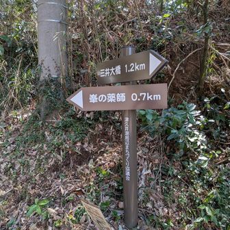 県道513の峯の薬師入口バス停のちょっと手前左に峯の薬師参道入口の階段を上り山道(表参道)を上り．．．