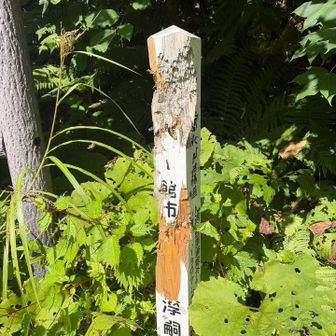 🐻さんからのメッセージ？