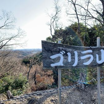 ゴリラ山🙌
小さな築山のようなお山でした。小川げんきプラザ近くにあります。

ここを下ったところで山友さんの誕生会🎂🎵🫧