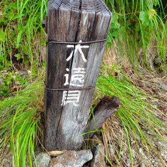 西遠見の看板があったのでしょうか？完全に見逃し、気付いたら大遠見まで下りてきました。