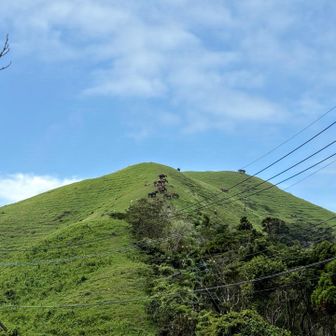 緑の草原 
のどかな景色！🐴✨️
