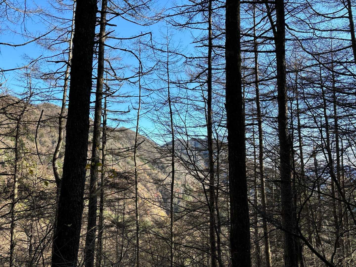 鍵掛峠が、見えました！
