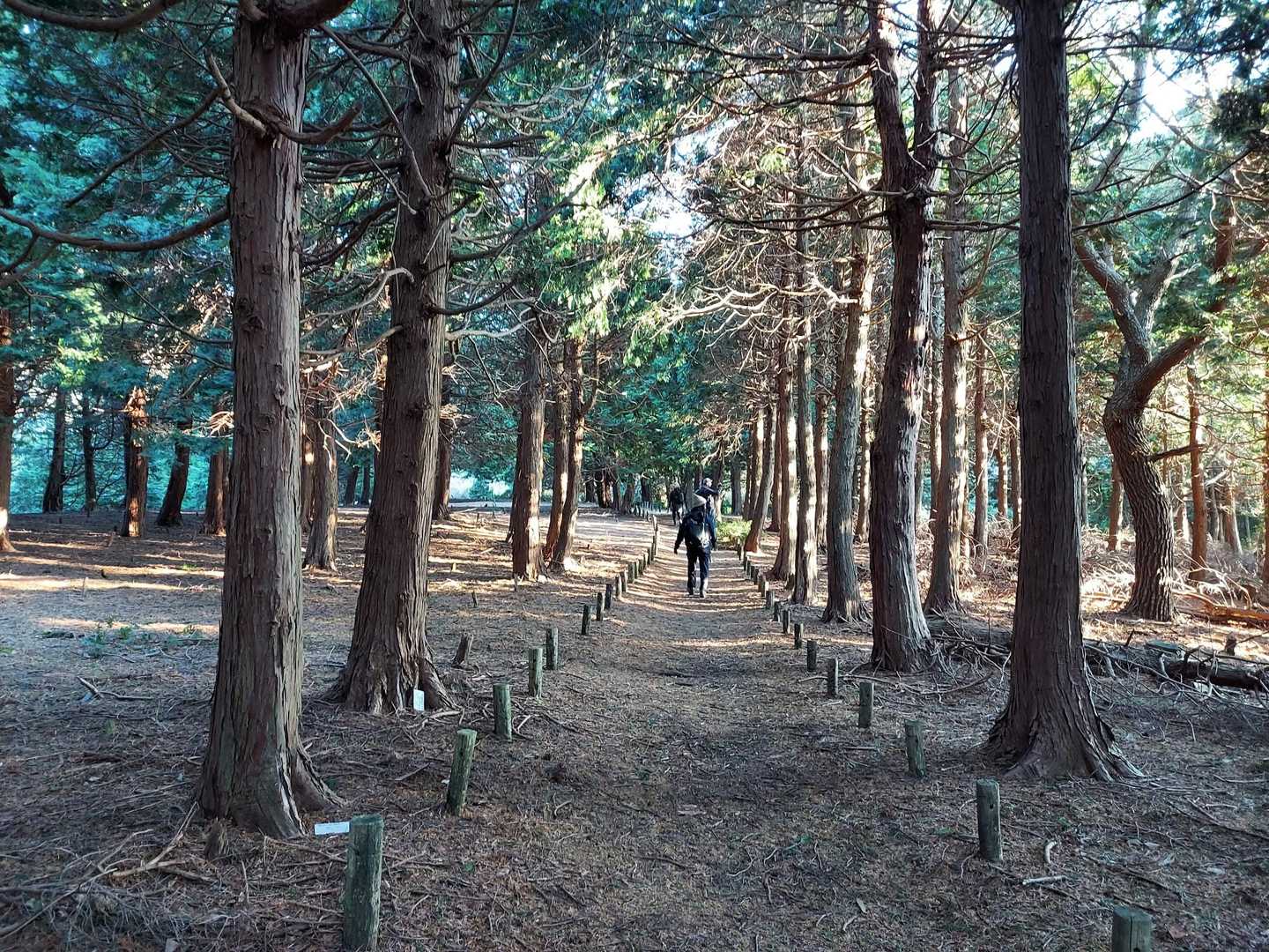 琵琶湖畔みたい