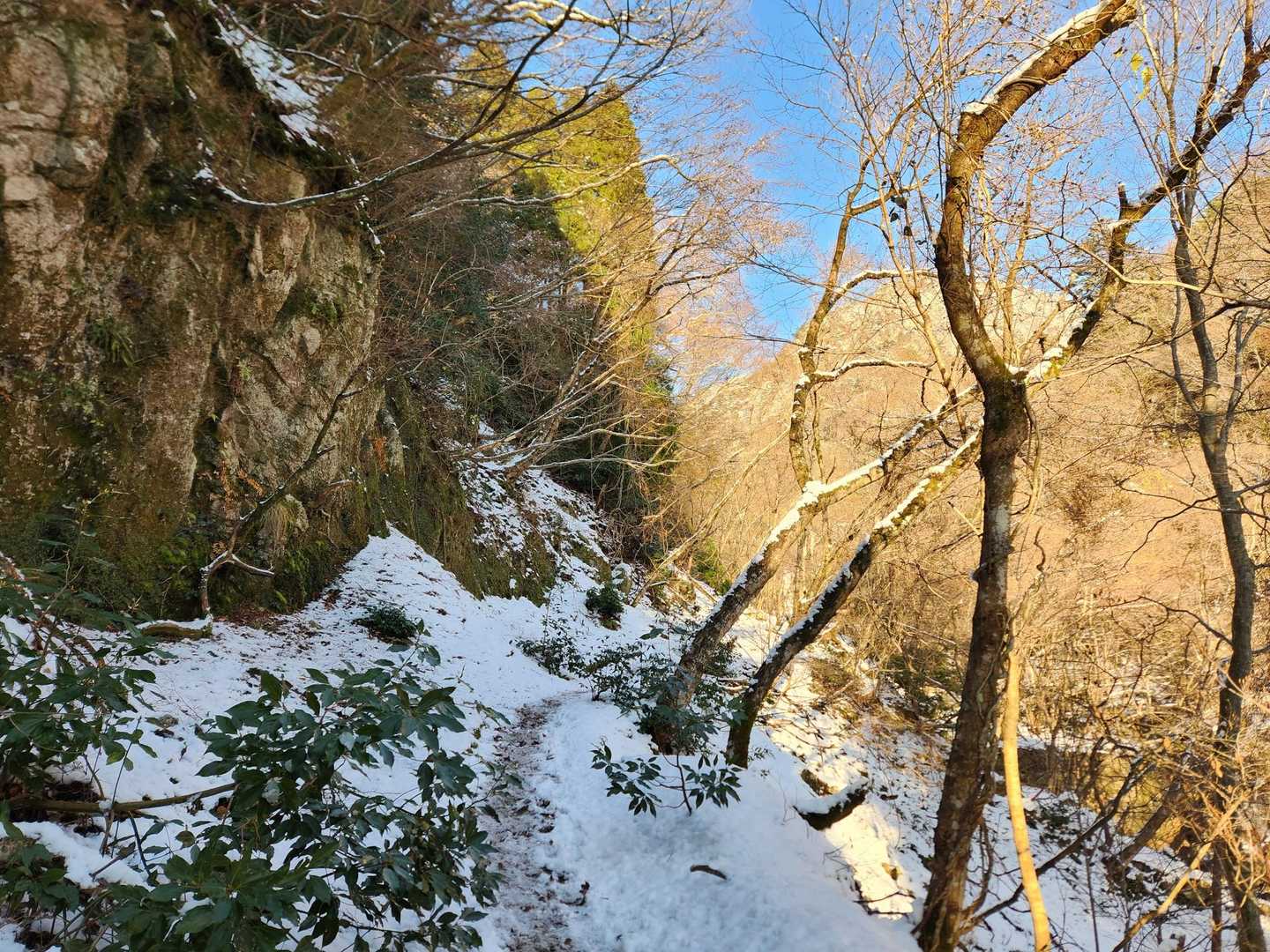 道はこんな感じ