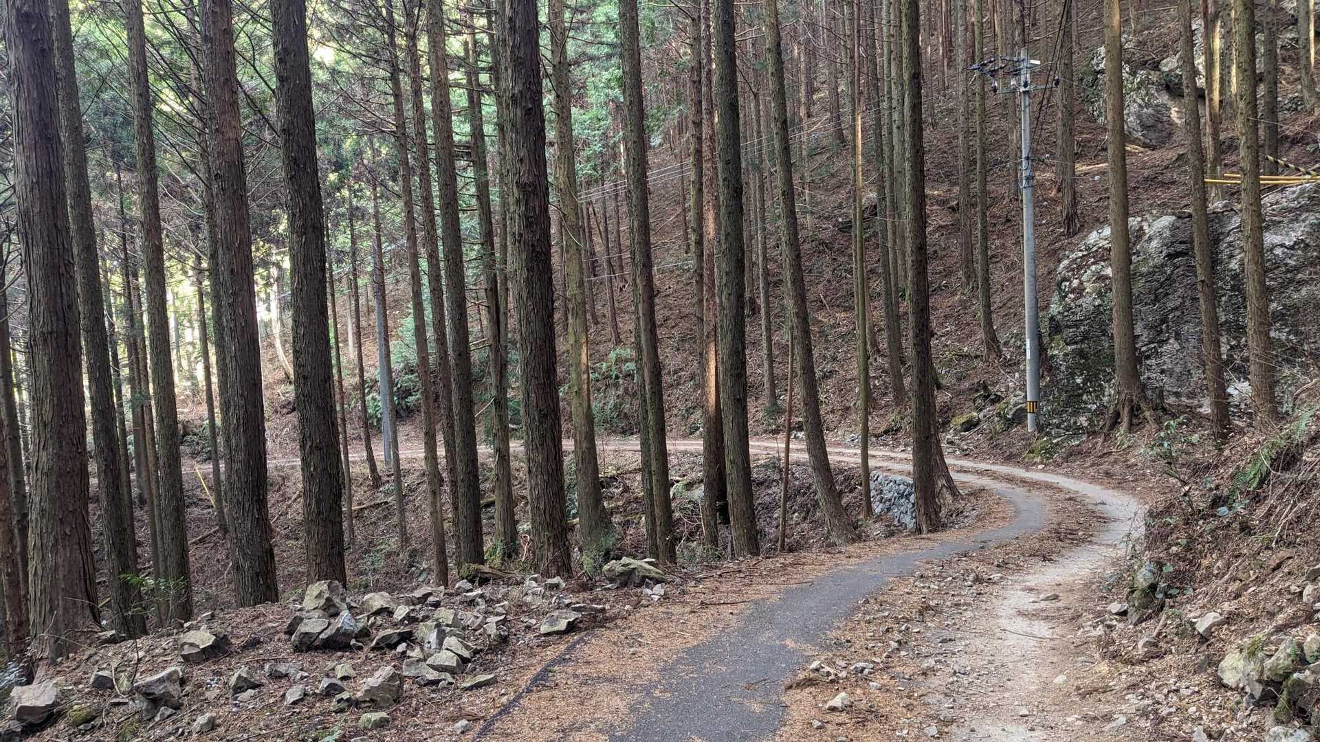さあ下山、普通の道を歩き