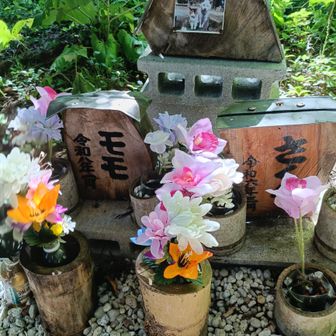何度も何度も癒してくれたね