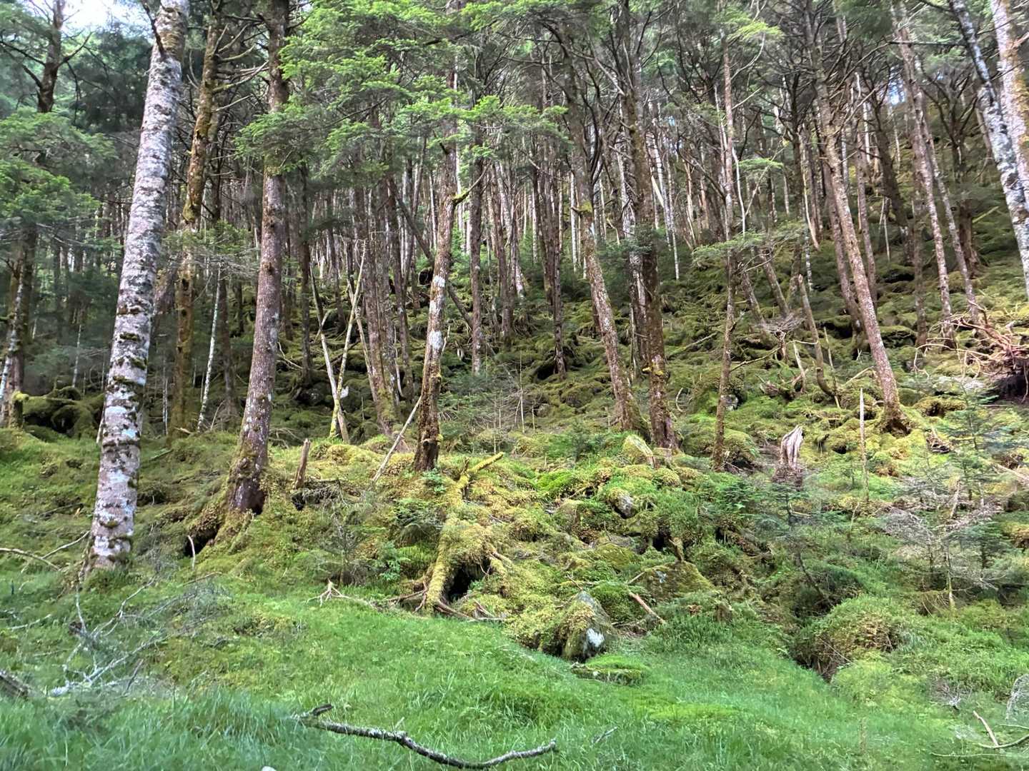 藻が沢山で神秘的🧙