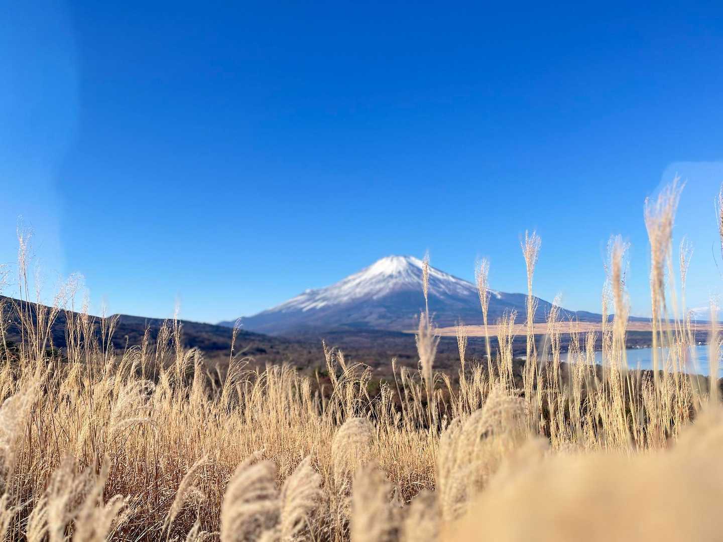 登り口からずーっと富士山丸見え状態😃
ここ最高の所ですね👍