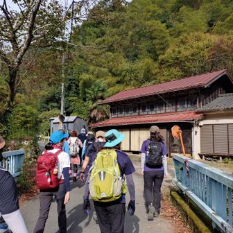 陣馬高原下をスタート❗️
暫くは一般道を歩きます。