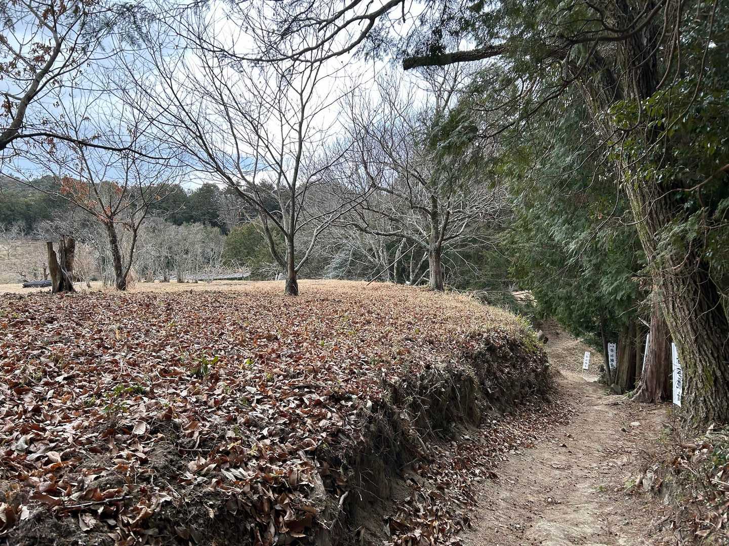 この辺りまでは曇り空☁️