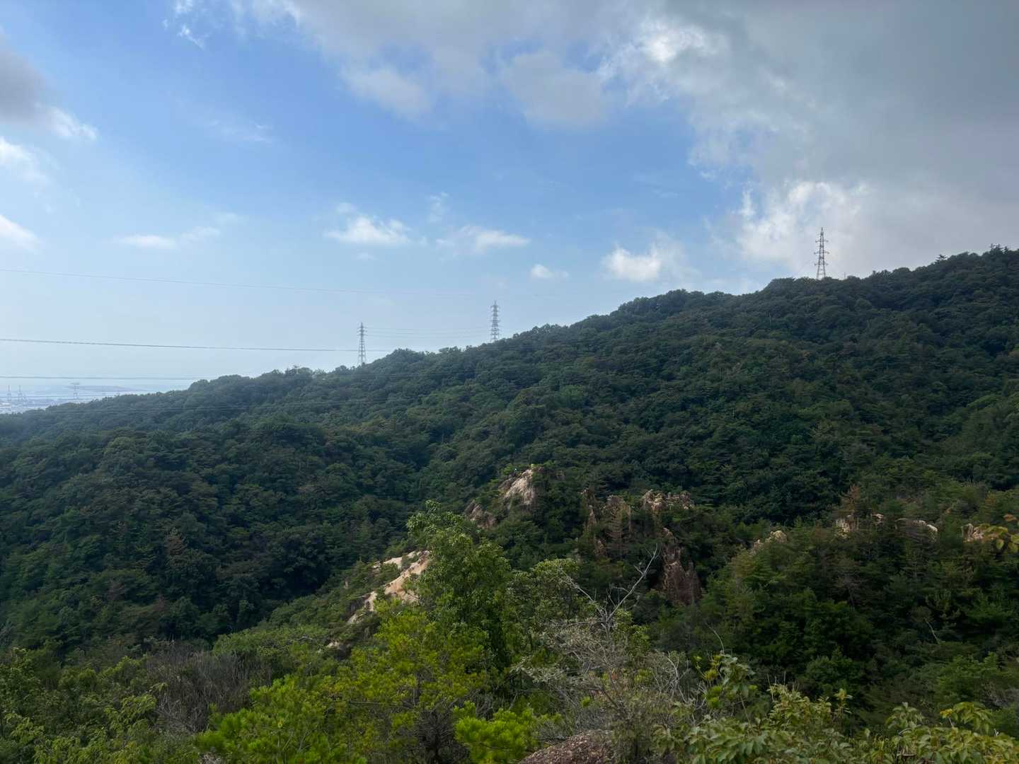 下山中、登りで歩いた道が見えます。
青空が広がってきました。