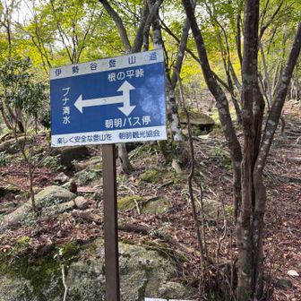 計画ではブナ清水を経てハライドまで行くつもりだったけど、疲れと天気良すぎて水が足り苦しいのでエスケイプします