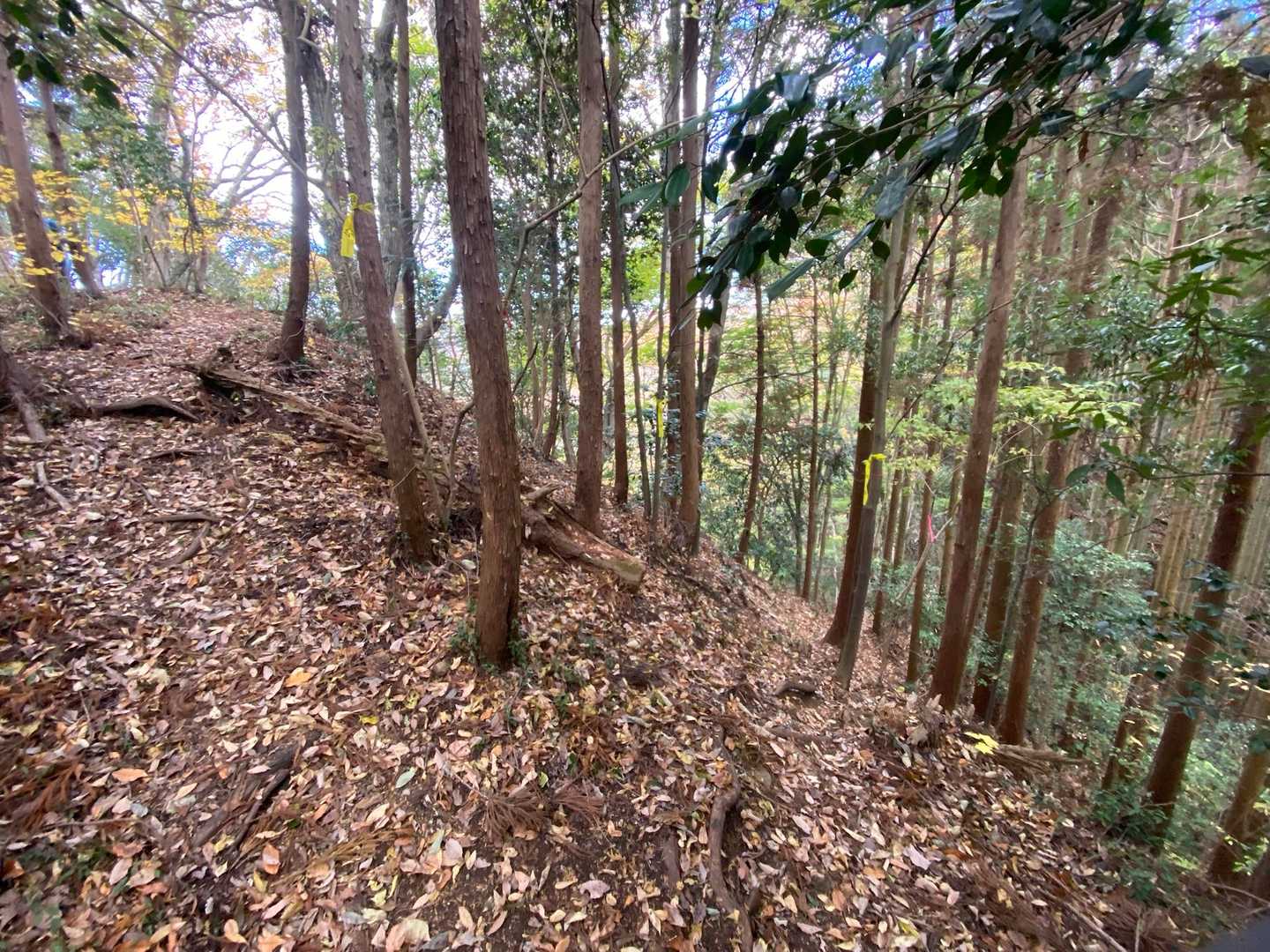 一枚岩から明山への登山道は踏み跡はしっかりしています。があやしい所も少しあります😅特にこのＶ字ターンは見逃しました😂