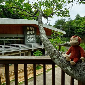 そんな感じで第5駐車場〜管理棟をへて
油山に登って行きたいと思います
ABY BNF ABURAYAMA
BACK TO NATURE FUKUOKA