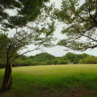 無事下山。