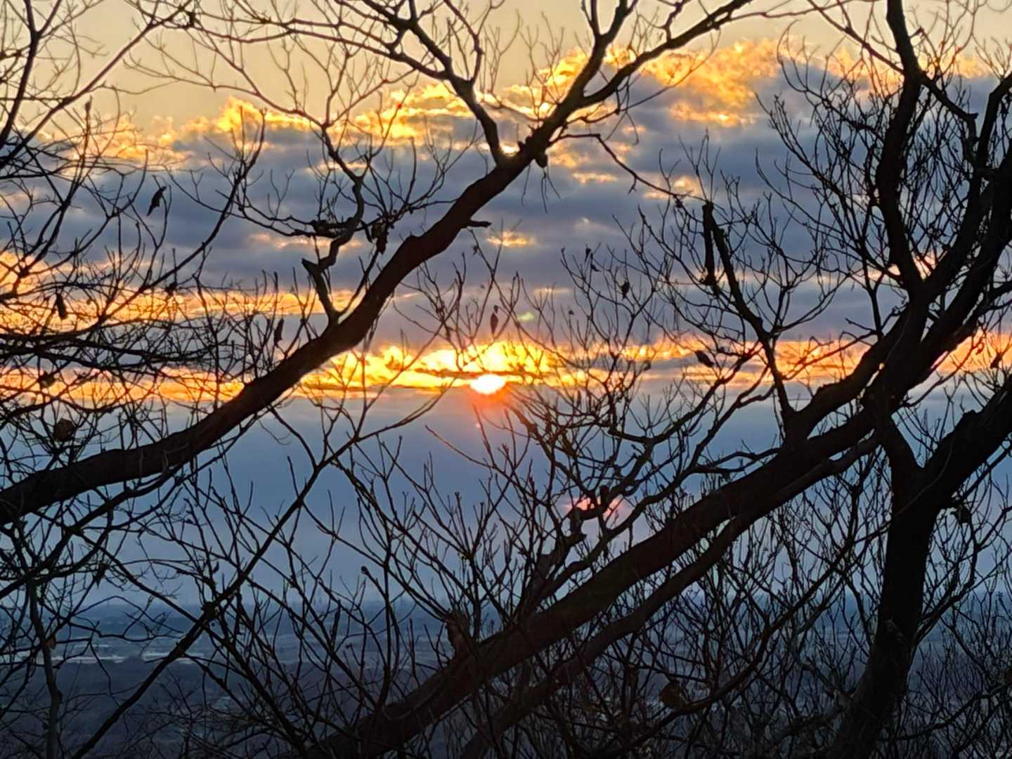 出た〜✨😄🙏🌅