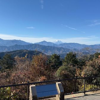 本日のベストショット♪