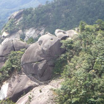 上を見る巨神兵の頭に見える