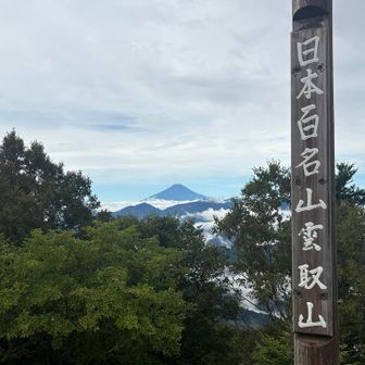 前回は見えなかったけど、今回は見えた